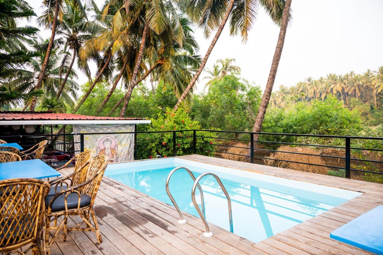 Royal Orbit * Agonda